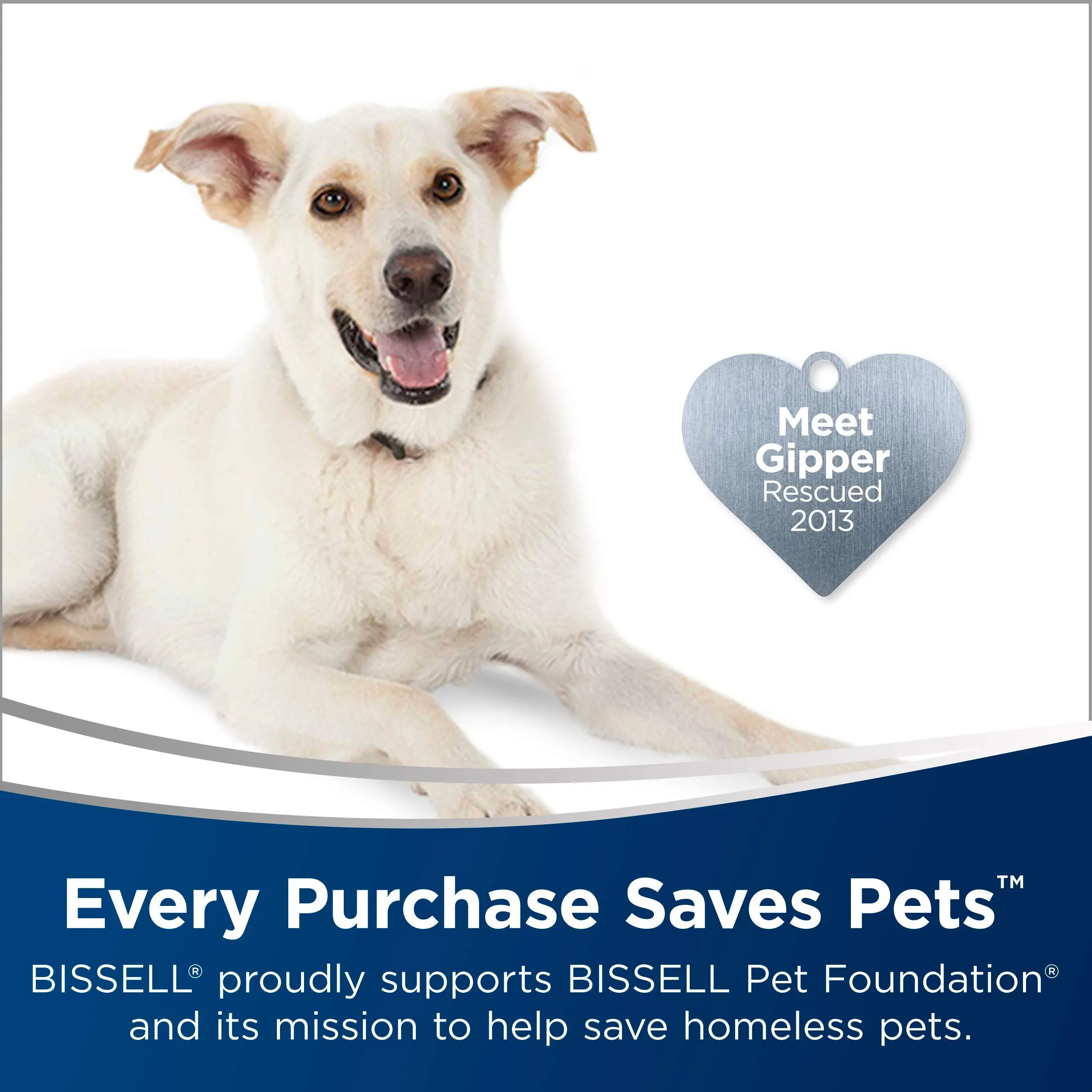 BISSELL, 3061 Featherweight Cordless Stick Vacuum, Electric Blue, Black