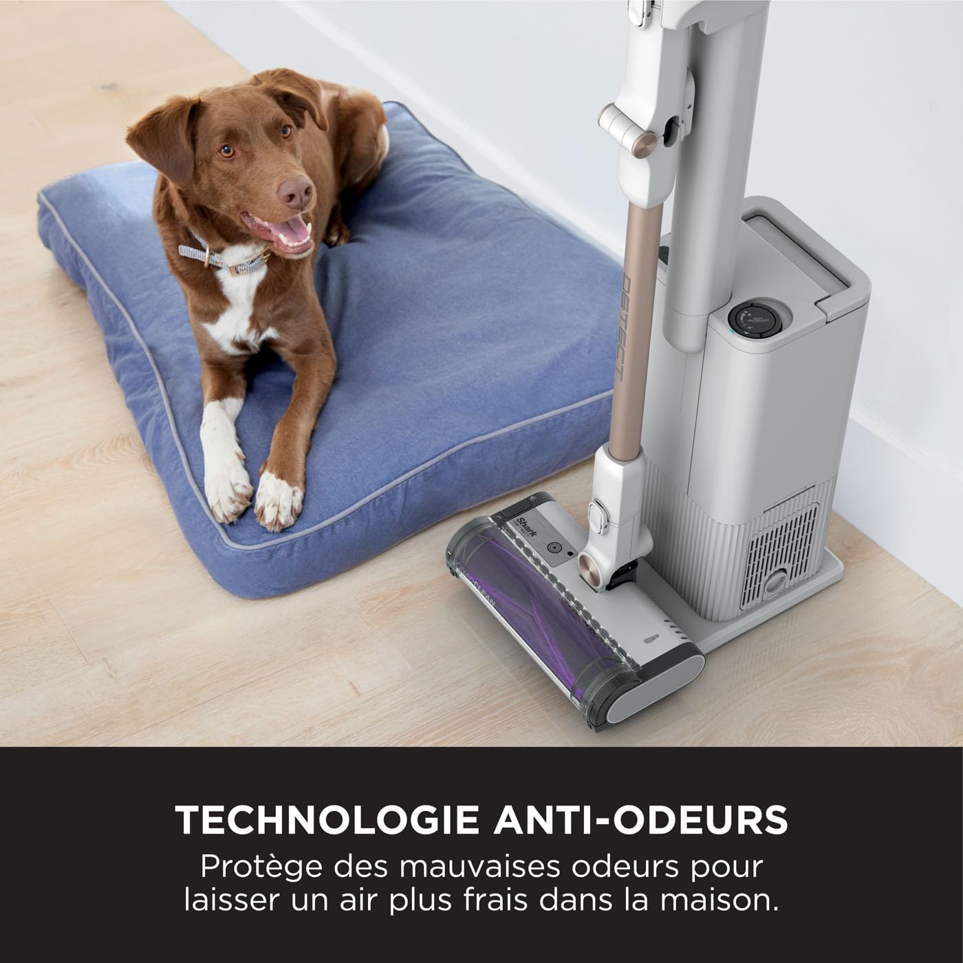 Shark Clean & Empty Aspirateur sans fil, système vidange automatique, aspirateur léger anti-poils avec outils animaux et interstices, autonomie 40 minutes, station de chargement, blanc/bleu, BU3521EU
