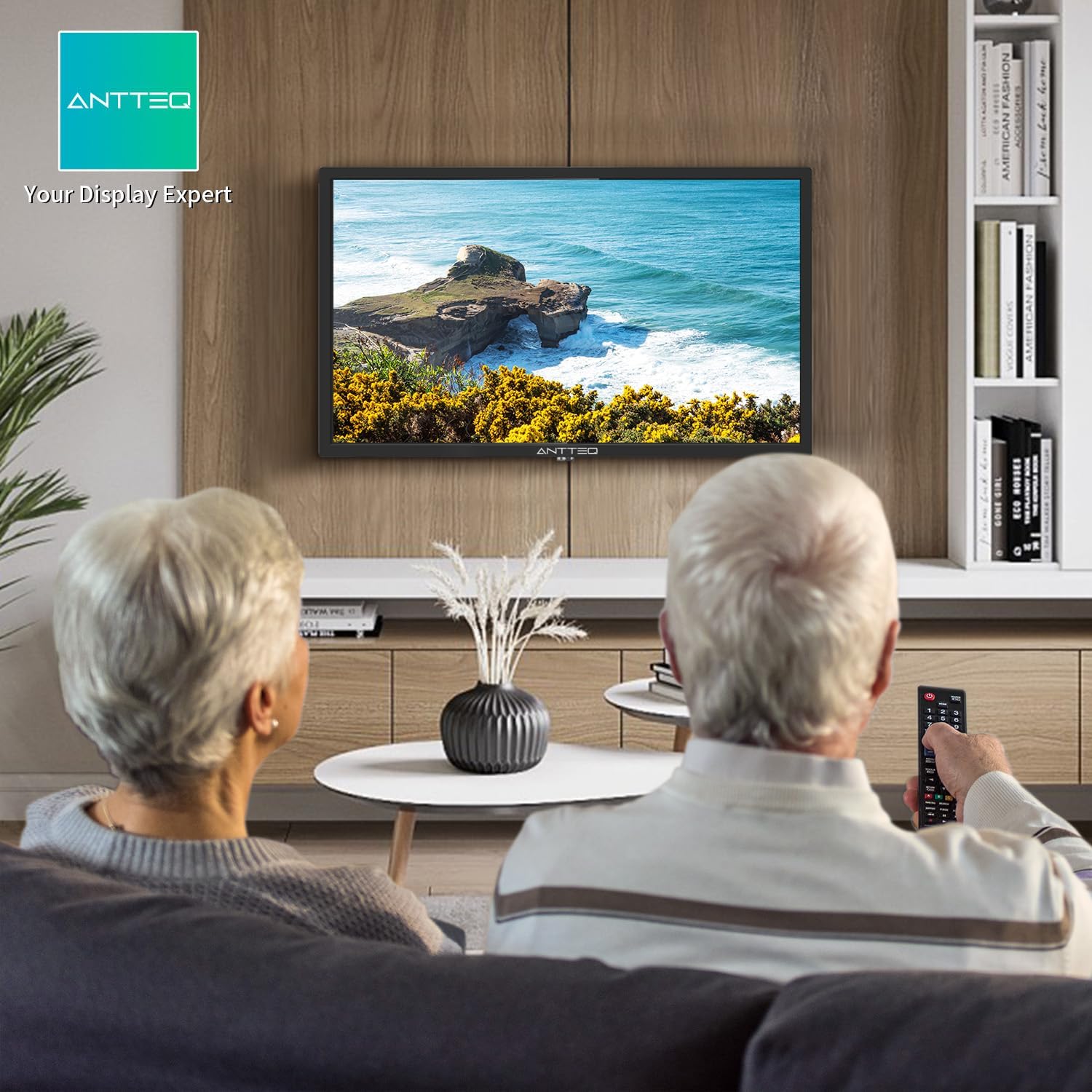 Antteq AB42D1 télévision 42 Pouces (TV 107 cm), Dolby Audio, LED, Triple Tuner DVB-C / T2 / S2, CI+, HDMI, Lecteur multimédia Via USB, Sortie Audio numérique, y Compris Mode hôtel