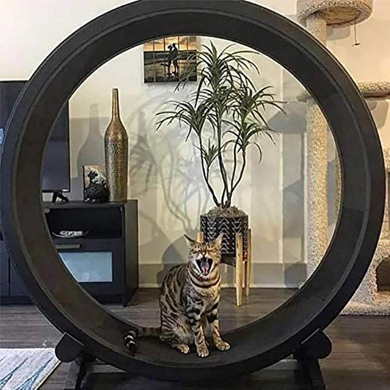 Tapis Roulant pour Chat, Roues d'exercice pour Petits Animaux, Diamètre 1,2 Mètres, Jouet de Sport pour Chat, Roue d'exercice Silencieuse, Grand Jouet pour Animaux de Compagnie, Parfait pour