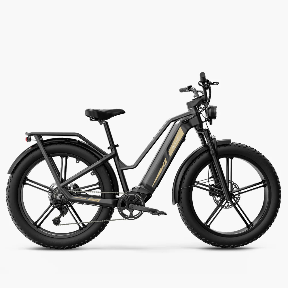 Titan Fat Tire Touring Vélo électrique - Longue portée