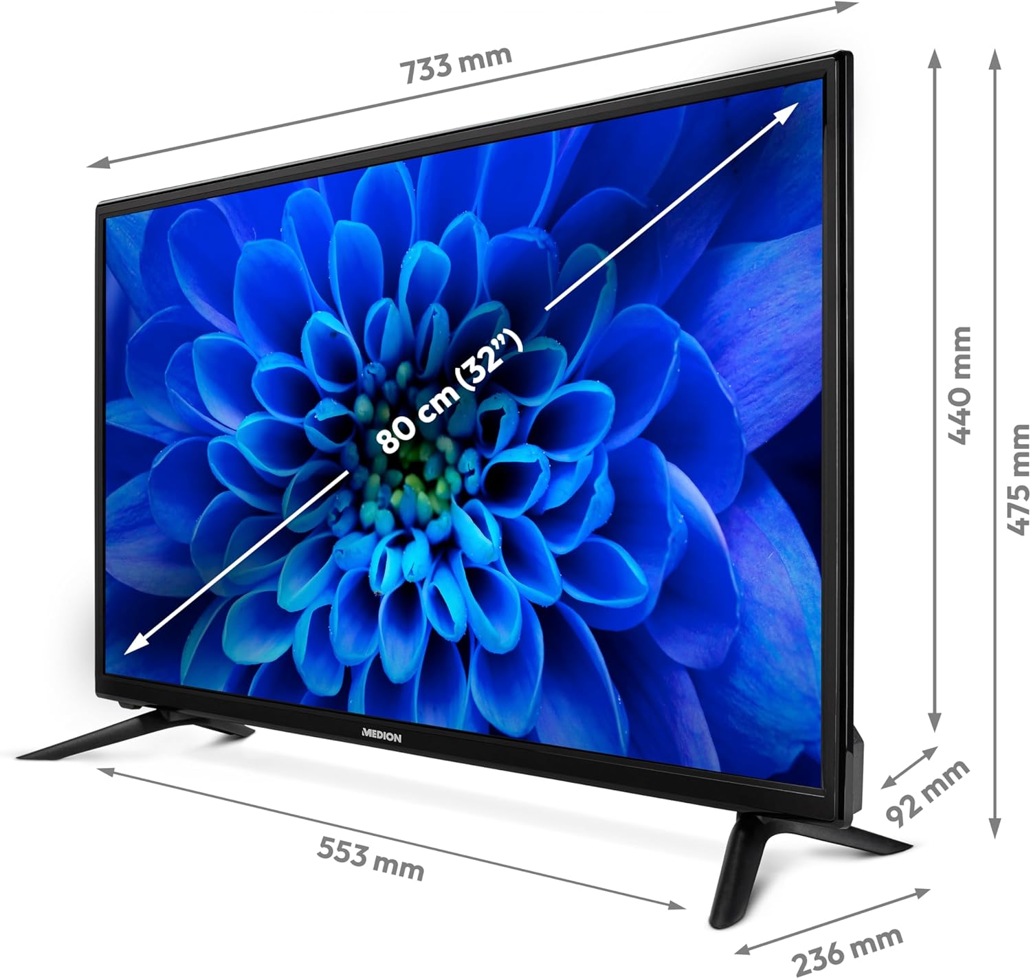 MEDION E14080 (MD 30224) Téléviseur Full HD 100,3 cm (40 Pouces) (Lecteur DVD intégré, récepteur Triple Tuner DVB-T2 DVB-C DVB-S2, 2 x HDMI, VGA, USB, Mediaplayer, CI+)