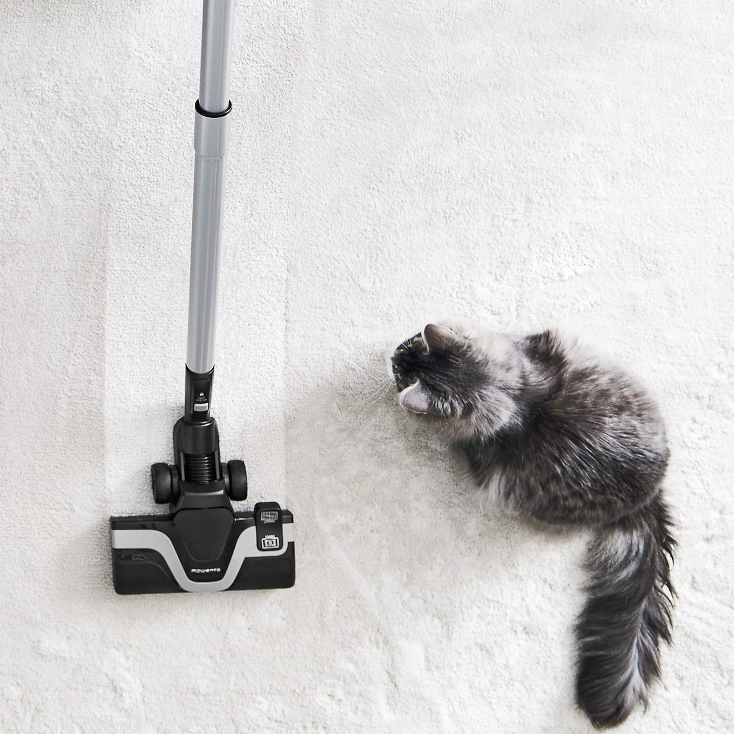 Rowenta Silence Force Aspirateur avec Sac Silencieux, Performant, Capacité 4,5 L & Lot de 4 Sacs Hygiène+, Compatibles avec Les aspirateurs traineau Compact Power, Power XXL