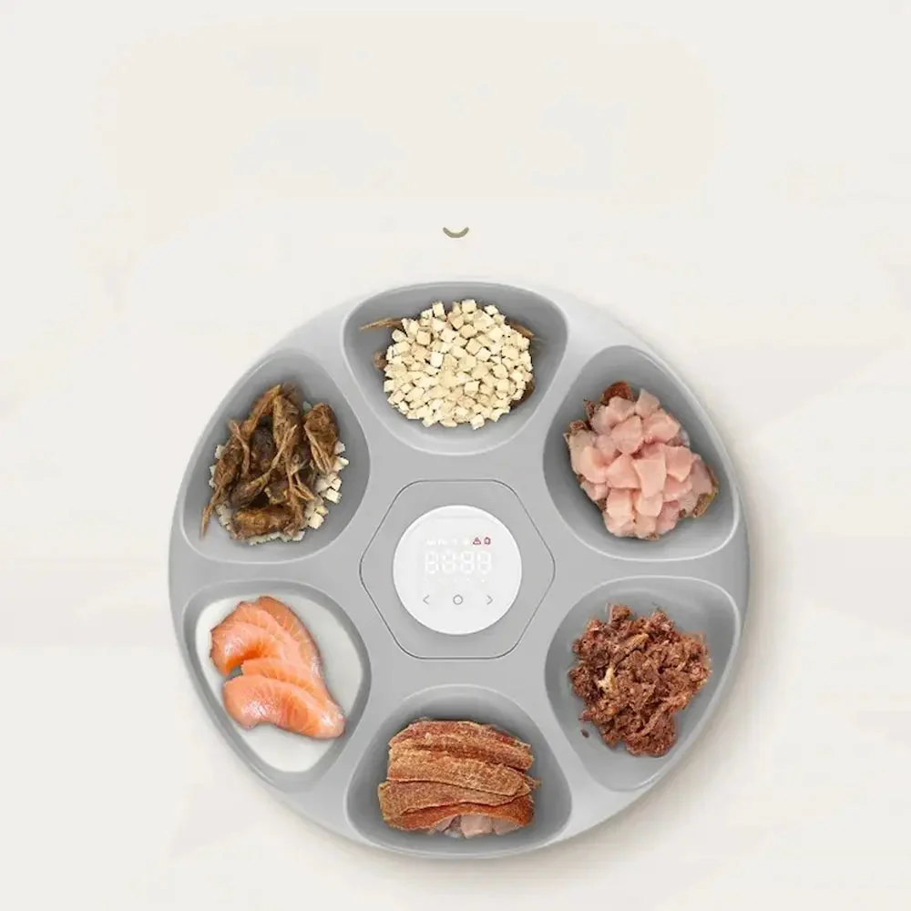 Distributeur automatique croquette 6 repas