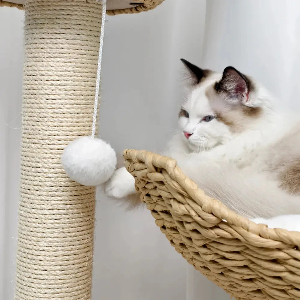 Arbre à chat design luxe - Confort et élégance