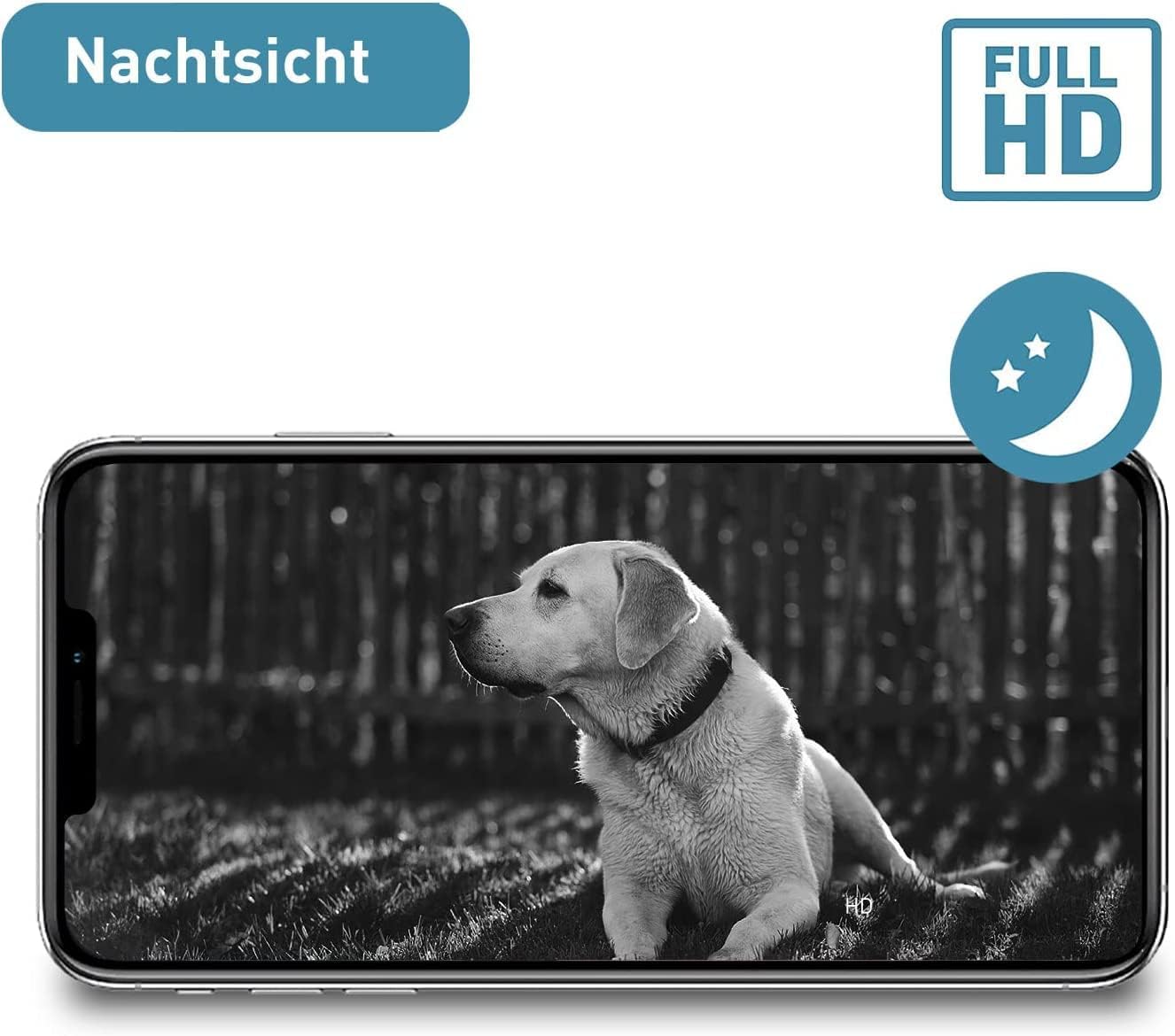 PetTec Cam Free Lot de 2 caméras sans fil pour animaux de compagnie avec application [sans piège à abonnement] – Caméra pour chats et chiens intérieur/extérieur – Détection de mouvement et fonction