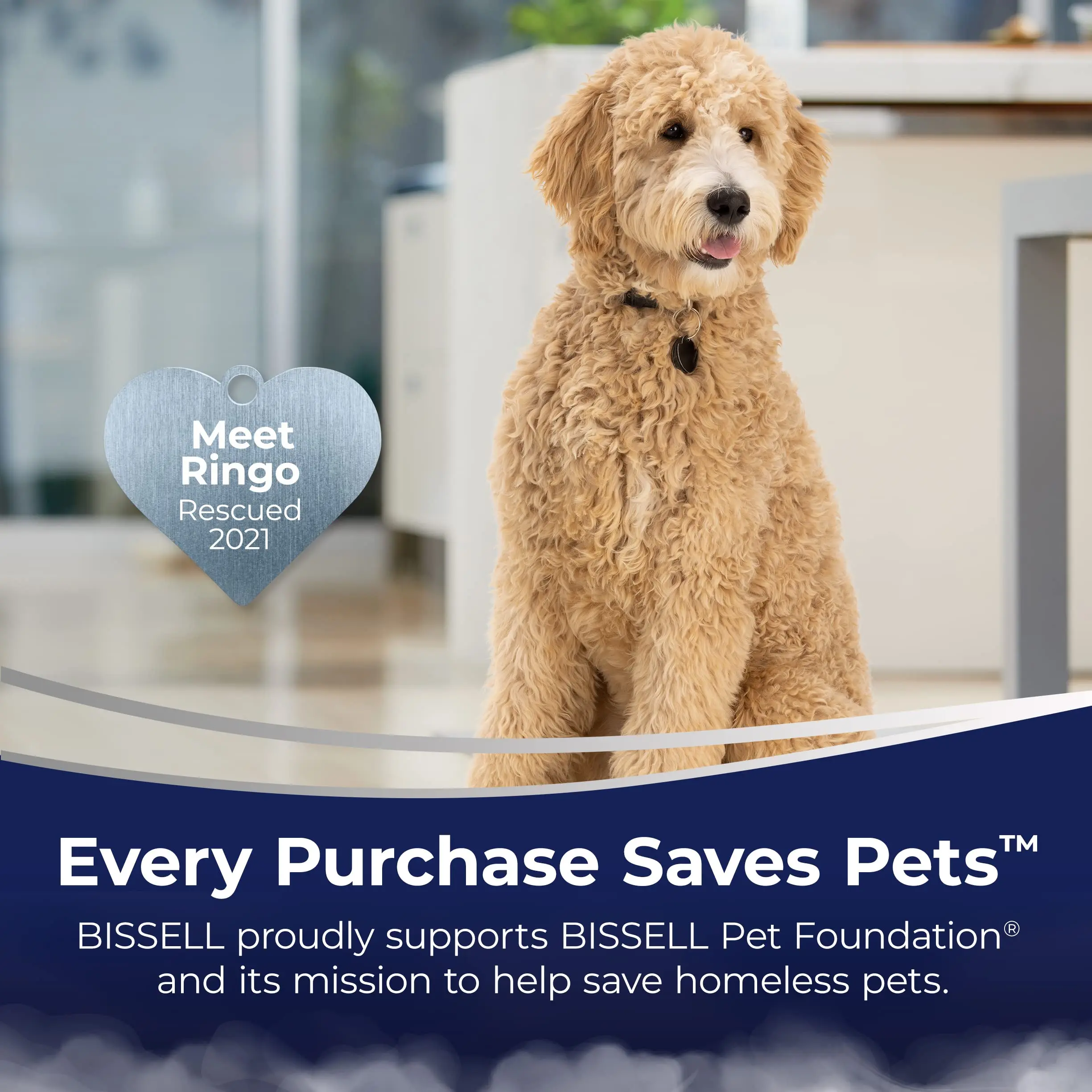 BISSELL Revolution HydroSteam Pet Carpet Cleaner, Upright Deep Cleaner, HydroSteam Technology, 2-in-1 Pet Upholstery Tool & Formulas Included, 3432