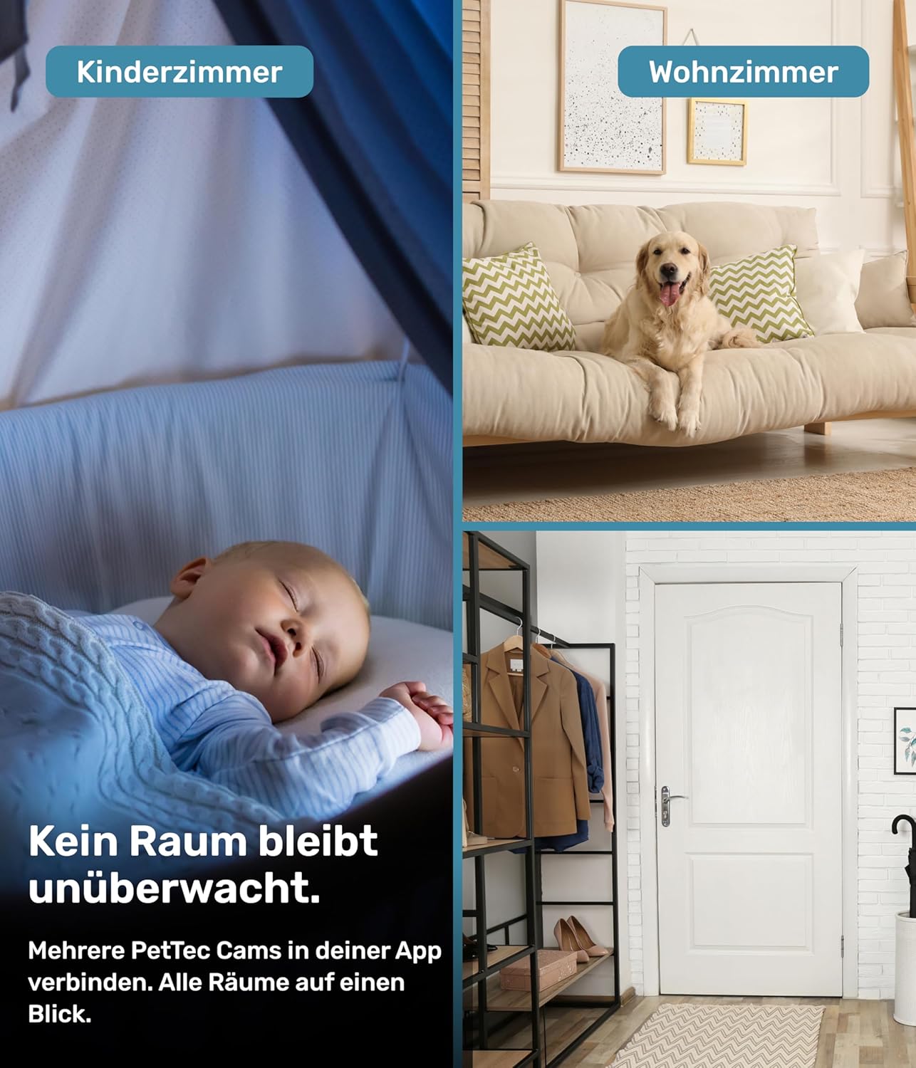 PetTec Cam Free Lot de 2 caméras sans fil pour animaux de compagnie avec application [sans piège à abonnement] – Caméra pour chats et chiens intérieur/extérieur – Détection de mouvement et fonction