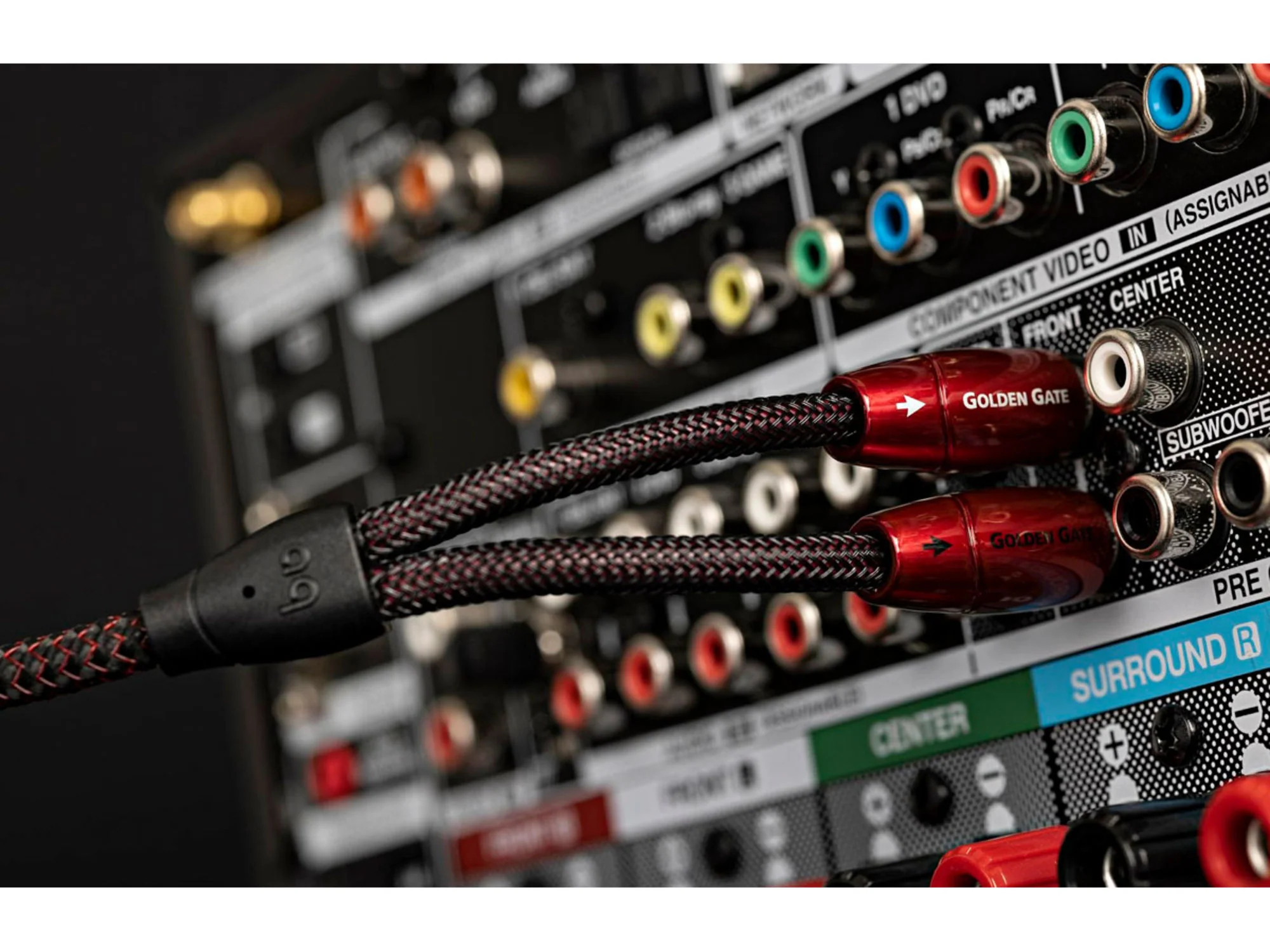 AUDIOQUESTen Gate RCA-RCA