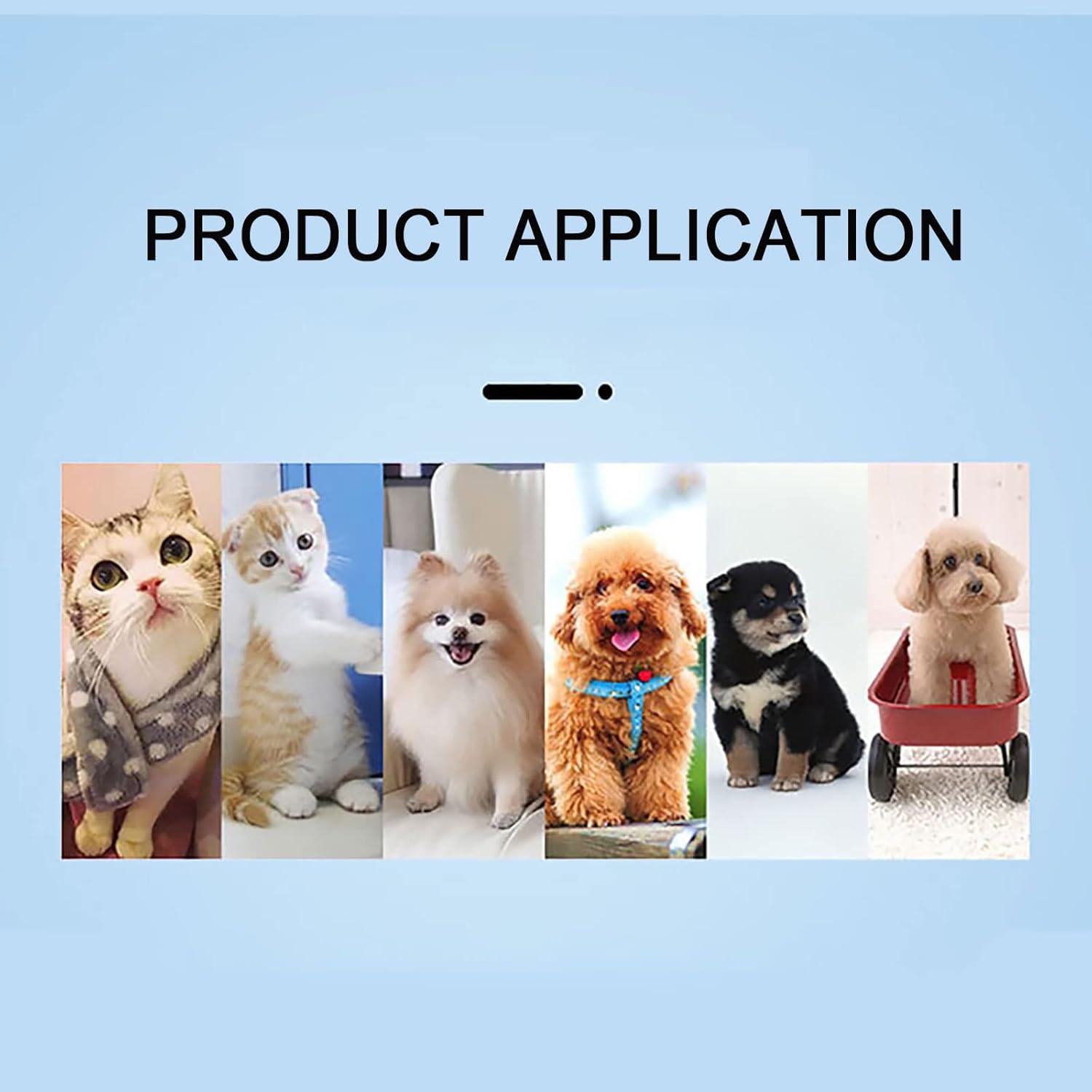 CUTPOIY Tente portable pour chat avec tunnel pour chat, enclos d'extérieur pour chat, tente de jeu, jouets pour chats, chiots, lapins et autres petits animaux