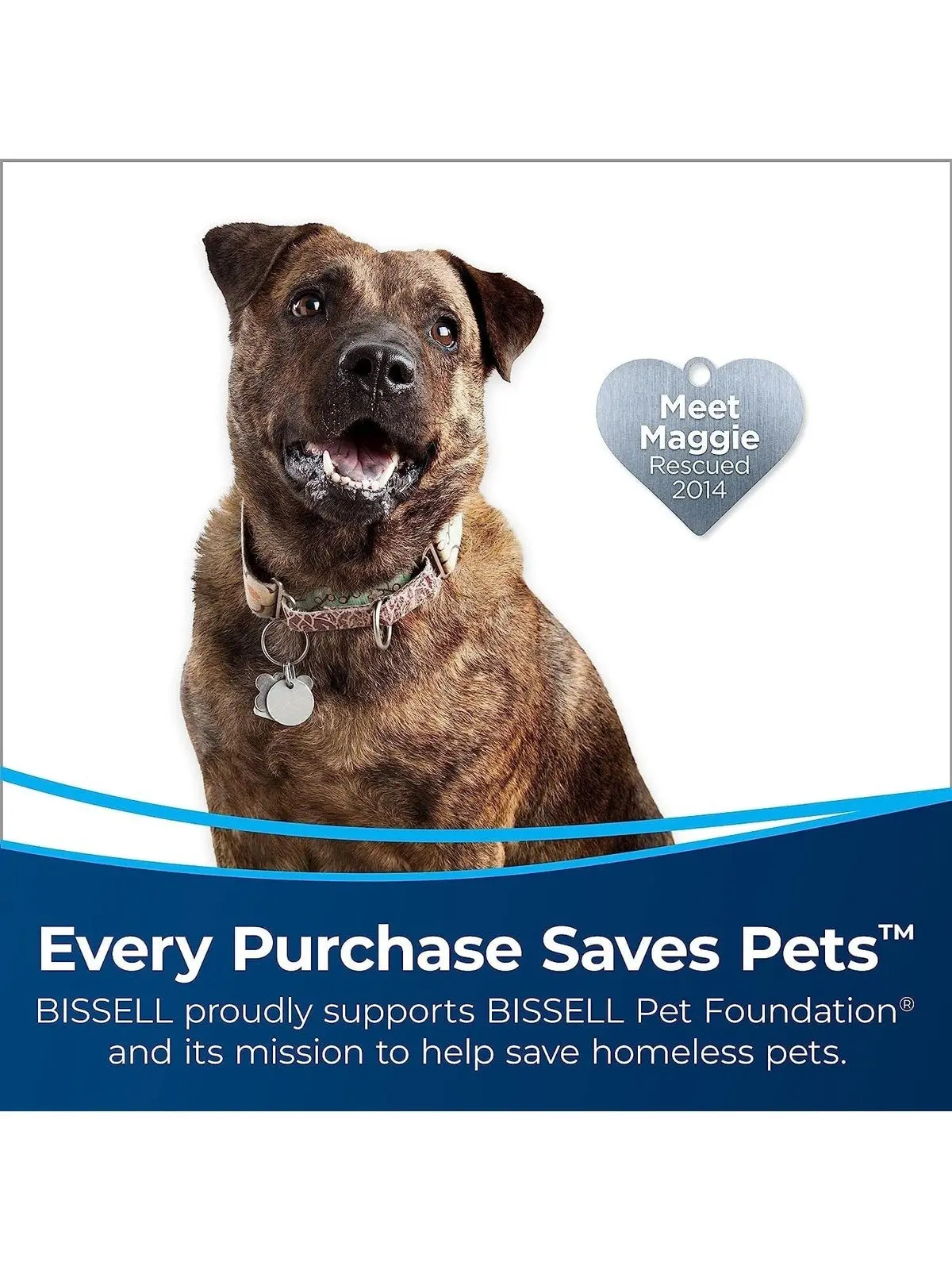 BISSELL Pet Hair Eraser Turbo Plus Lightweight Upright Vacuum Cleaner, Grapevine Purple With Electric Green Accents