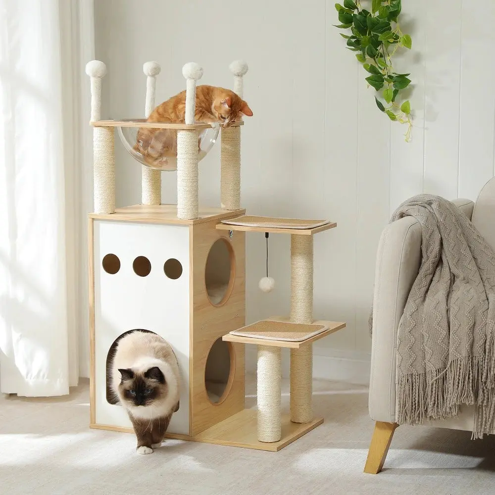 Arbre à chat en bois - Design moderne