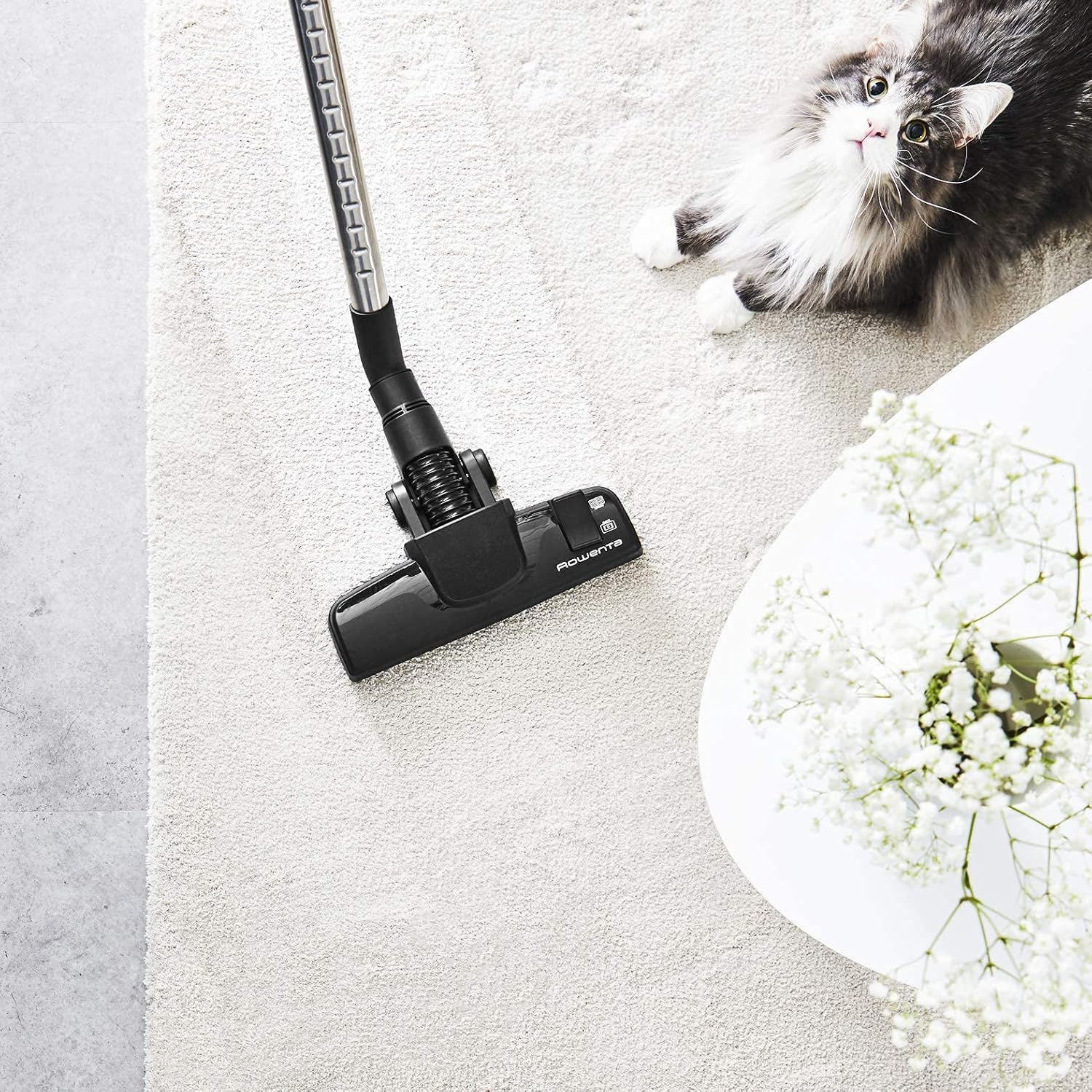 Rowenta Silence Force Aspirateur avec sac, Aspirateur traineau, Silencieux, Performant, Gris/Bleu, Capacité XL 4,5L, Accessoirisés, Fabriqué en France RO7740EA