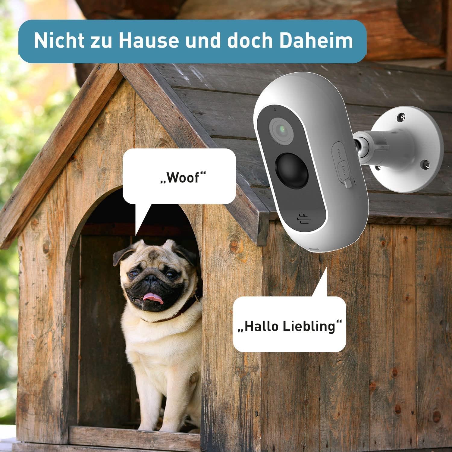 PetTec Cam Free Lot de 2 caméras sans fil pour animaux de compagnie avec application [sans piège à abonnement] – Caméra pour chats et chiens intérieur/extérieur – Détection de mouvement et fonction