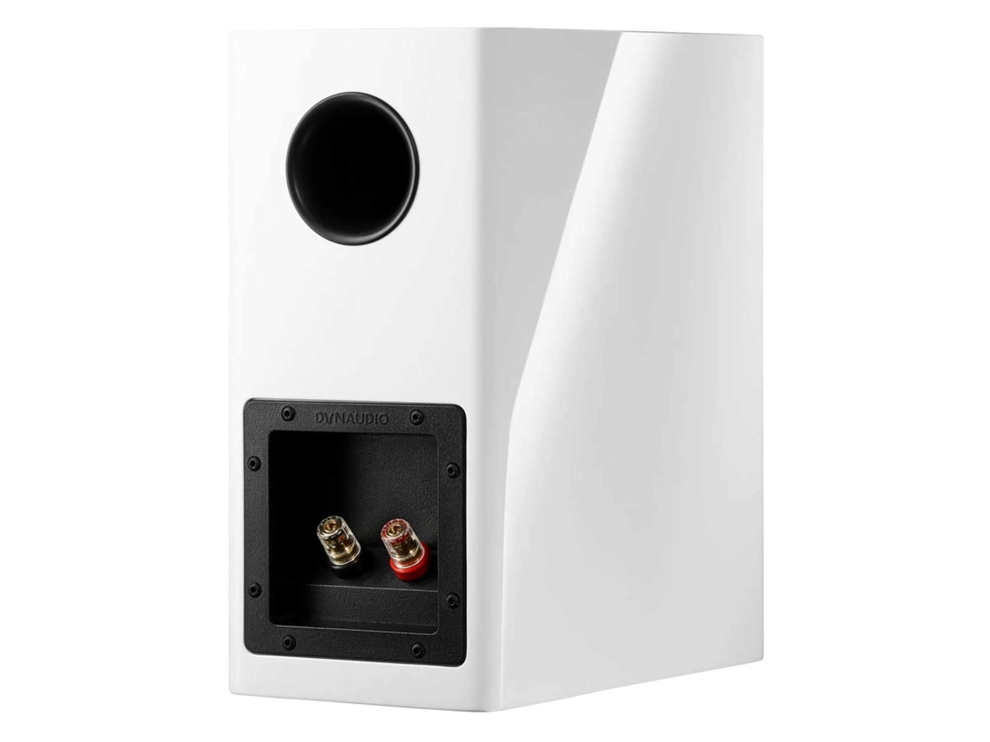 DYNAUDIO EVOKE 10 (la paire)