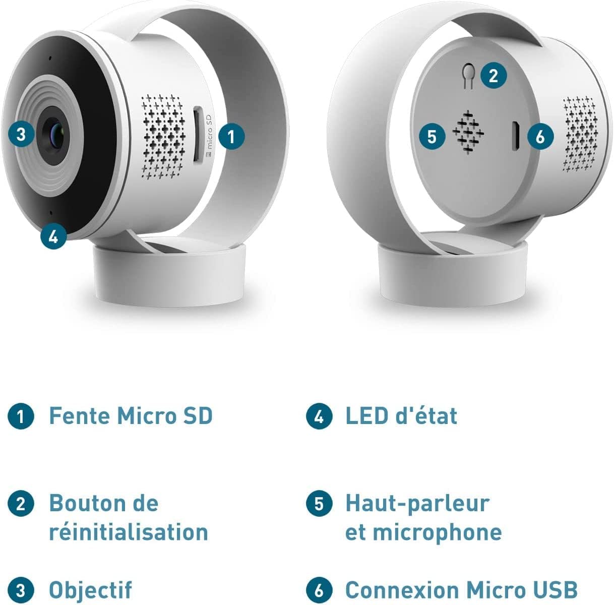PetTec Cam Free Lot de 2 caméras sans fil pour animaux de compagnie avec application [sans piège à abonnement] – Caméra pour chats et chiens intérieur/extérieur – Détection de mouvement et fonction