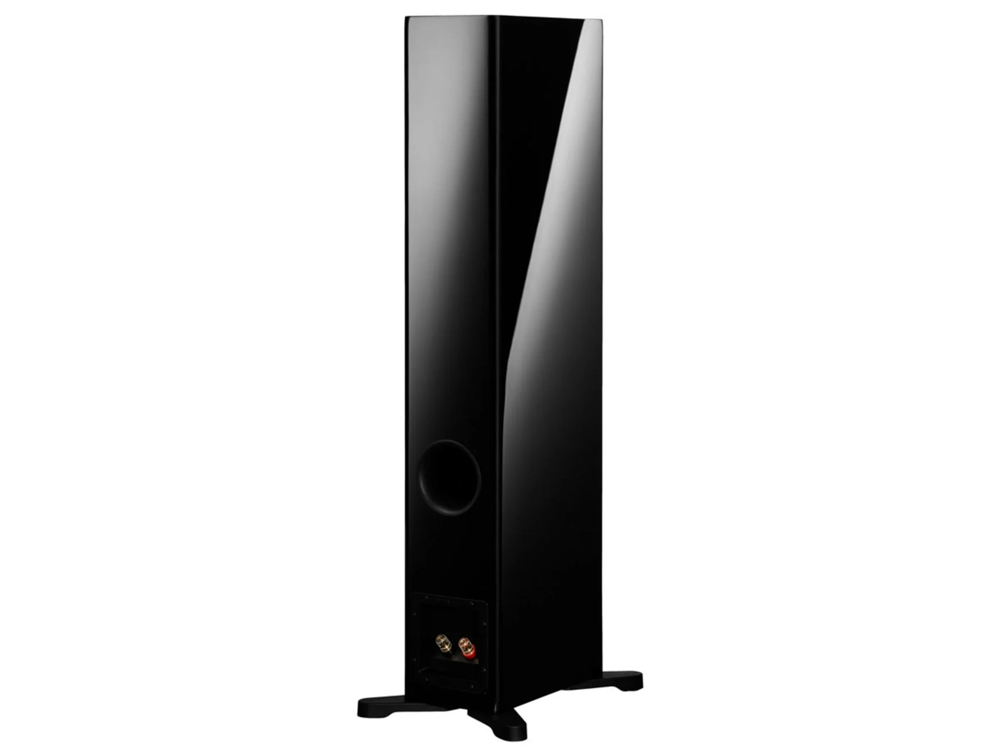 DYNAUDIO EVOKE 30 (la paire)