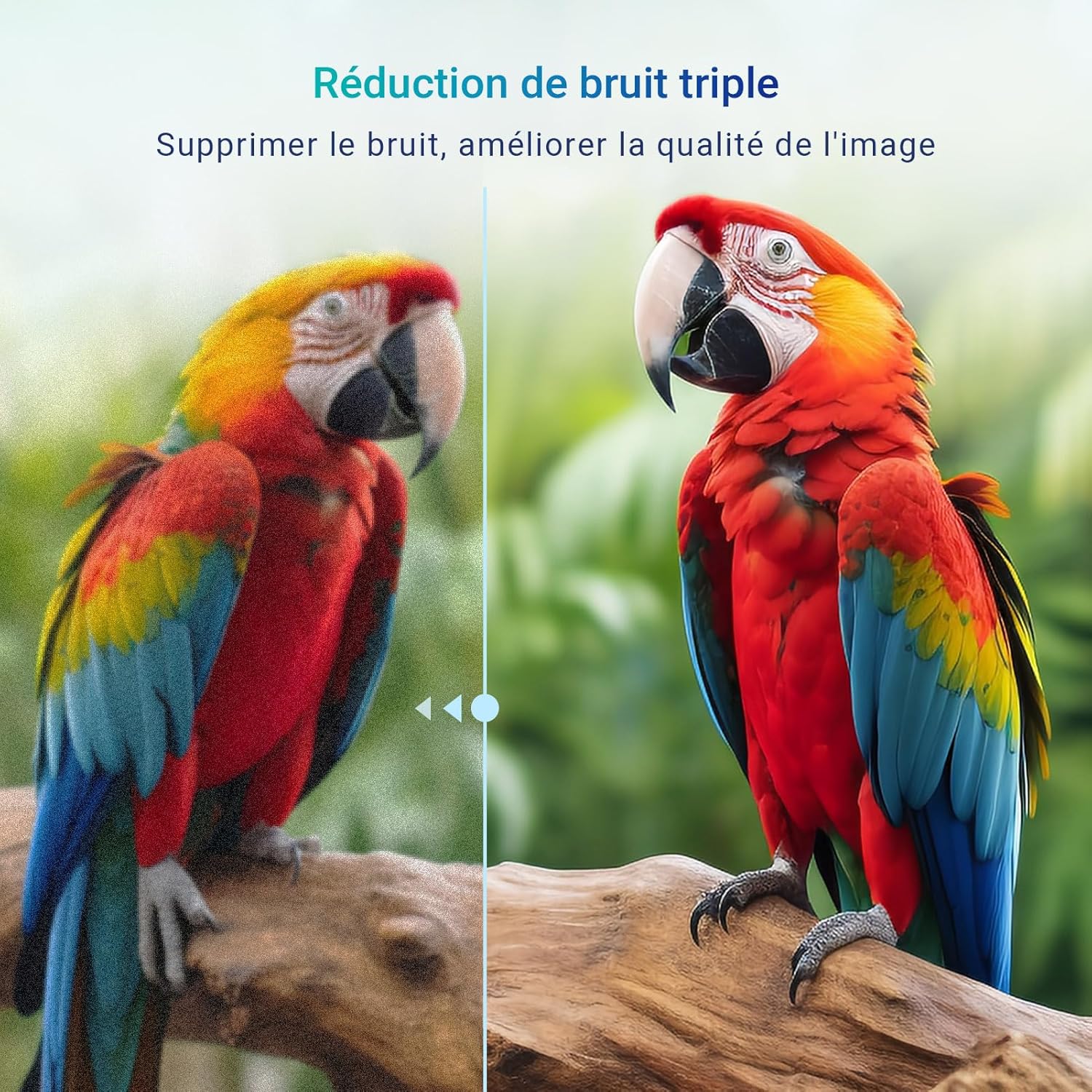 Antteq AB42D1 télévision 42 Pouces (TV 107 cm), Dolby Audio, LED, Triple Tuner DVB-C / T2 / S2, CI+, HDMI, Lecteur multimédia Via USB, Sortie Audio numérique, y Compris Mode hôtel