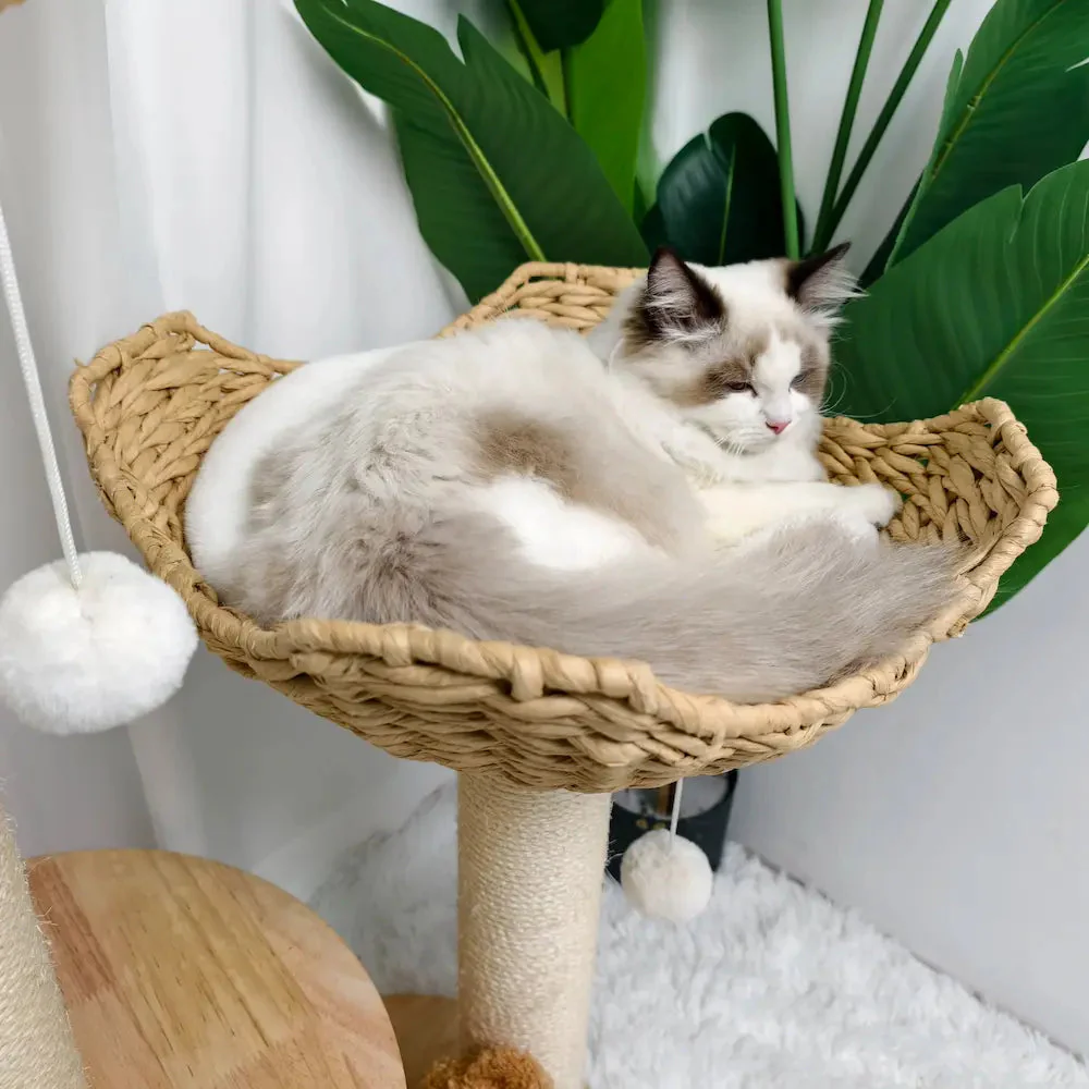 Arbre à chat design luxe - Confort et élégance