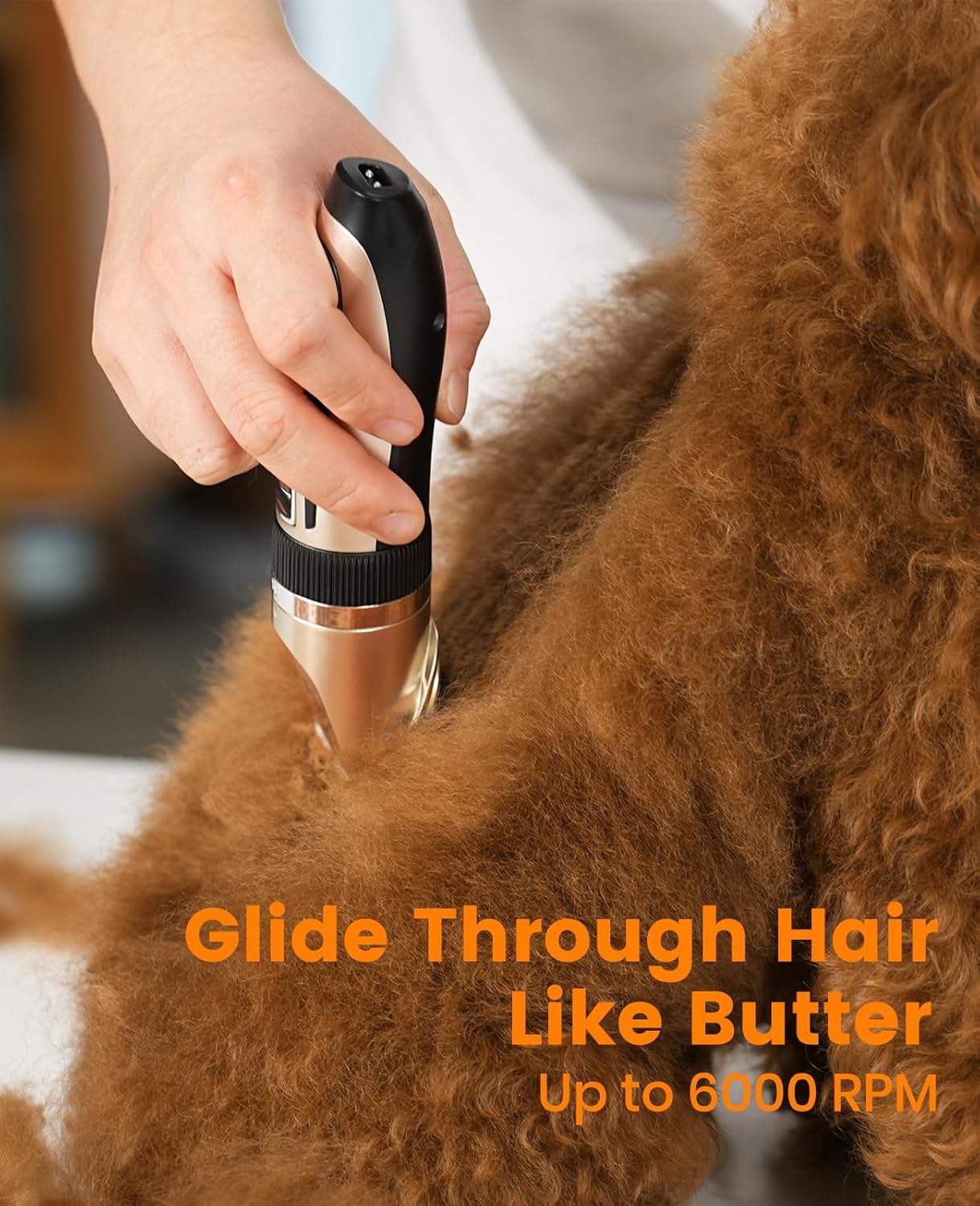 oneisall Tondeuse pour chien et pattes de chien 2 en 1 à faible bruit sans fil pour le toilettage des poils d'animaux de compagnie pour petite et grande taille, chats, animaux