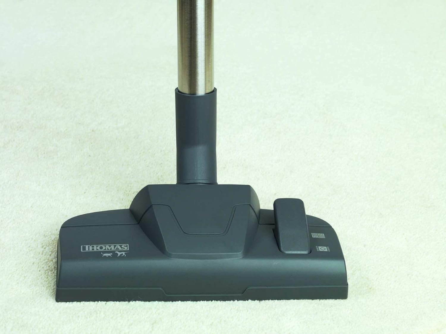 THOMAS AQUA + PET & Family Aspirateur aquafilter: élimine rapidement les poils d'animaux et odeurs animales, Orange/Gris