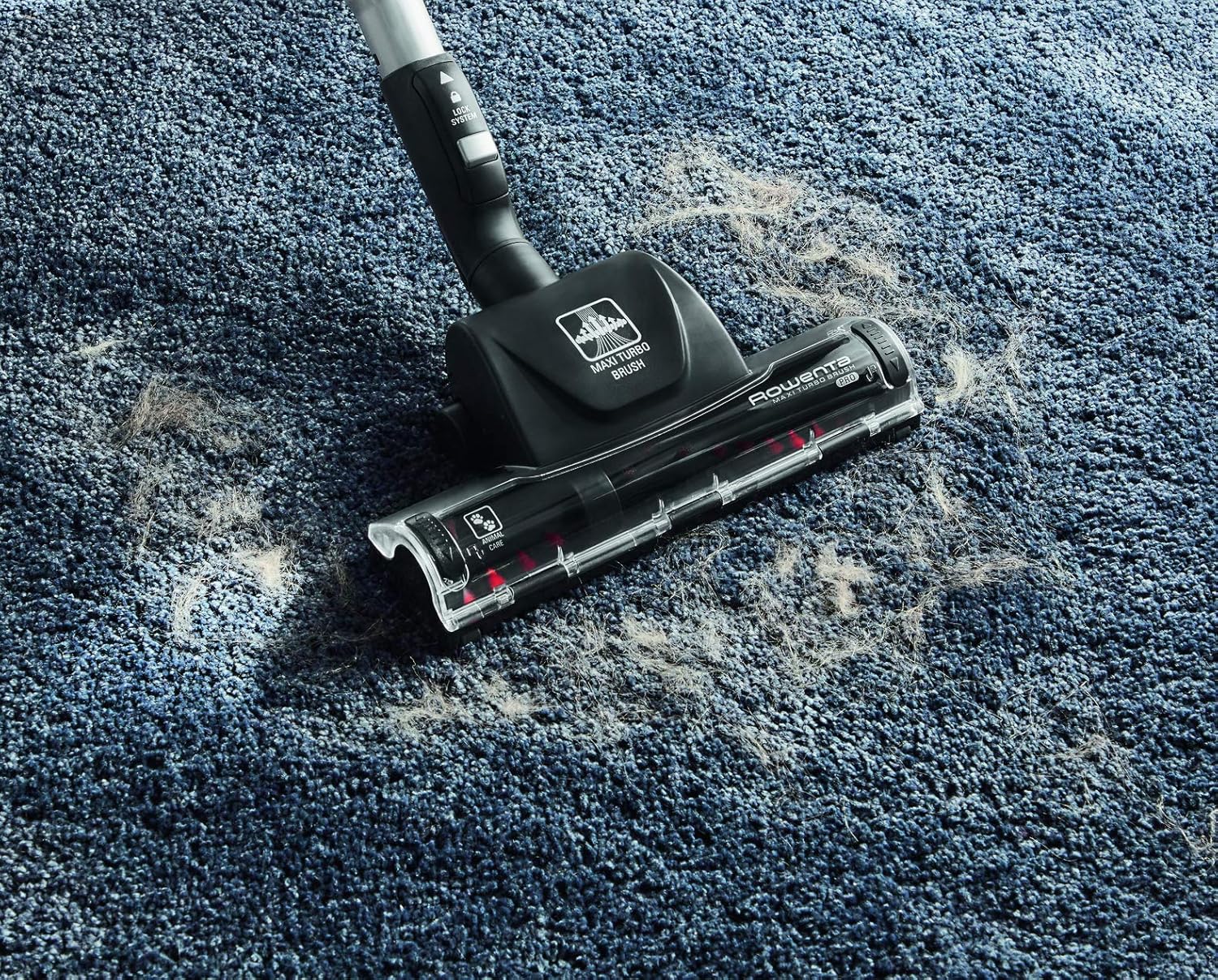 Rowenta Silence Force Aspirateur avec Sac Silencieux, Performant, Capacité 4,5 L & Lot de 4 Sacs Hygiène+, Compatibles avec Les aspirateurs traineau Compact Power, Power XXL