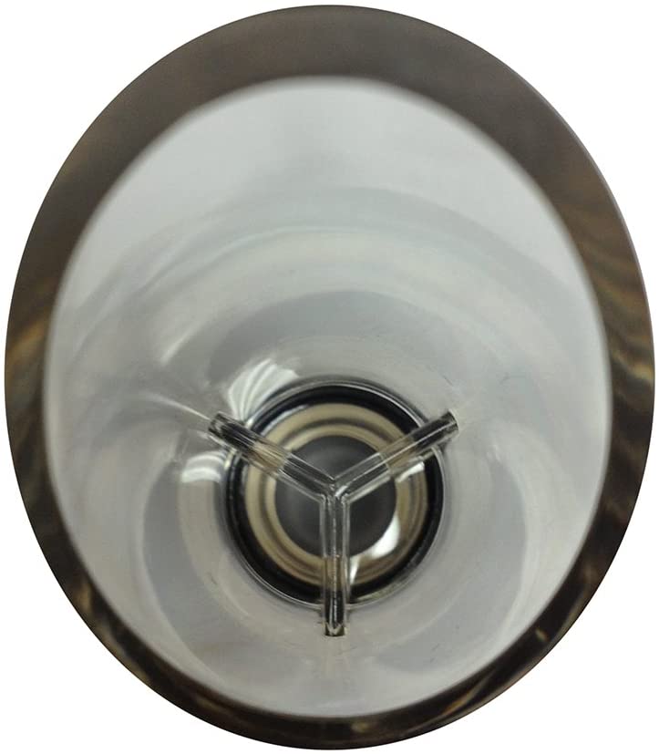 BLASANI Wine Pourer Aerating Decanter (Two pack)