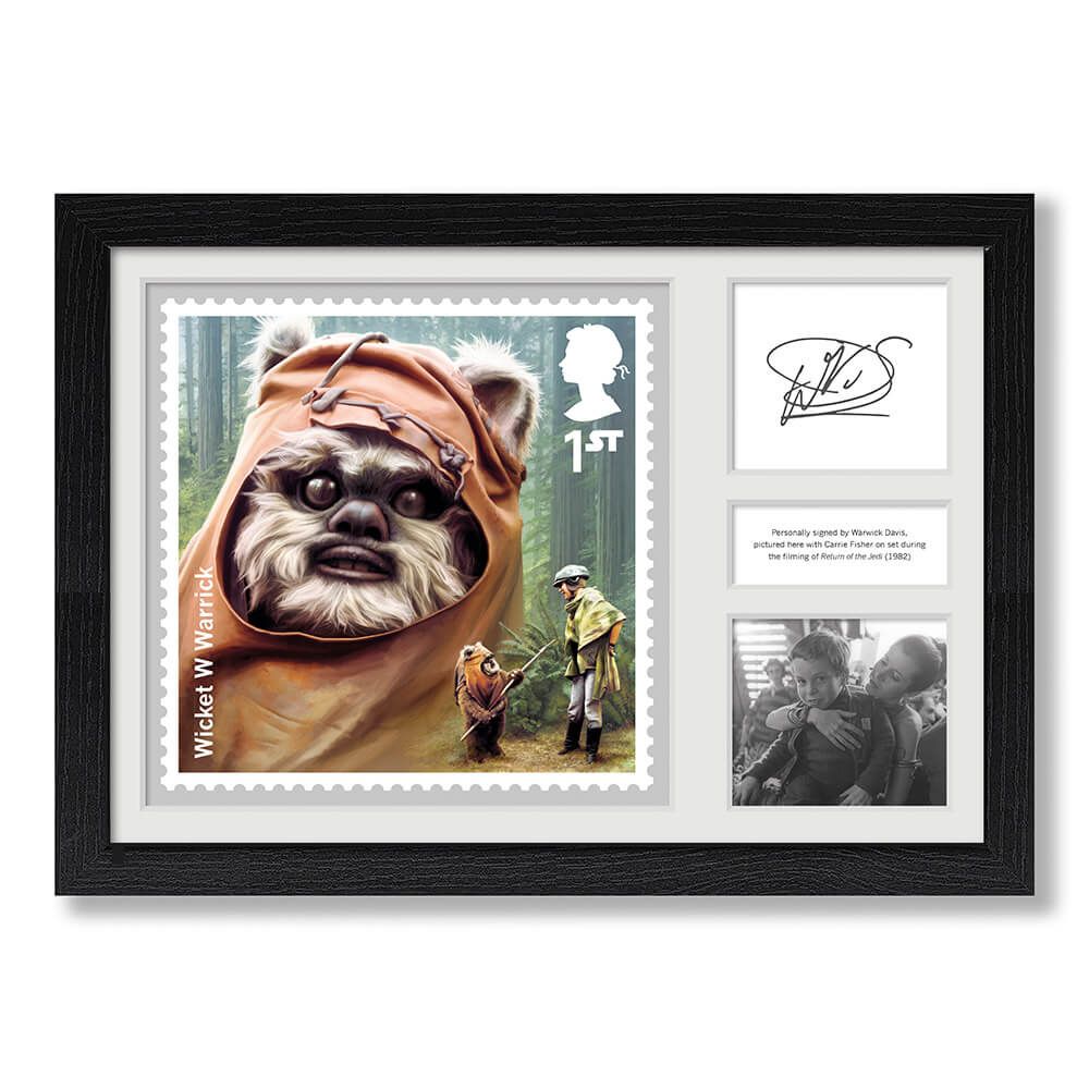 Star Wars Framed Ewok Print Signed by Warwick Davis Royal Mail Collectible