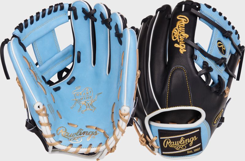 R2G Heart of the Hide 11.75" Glove