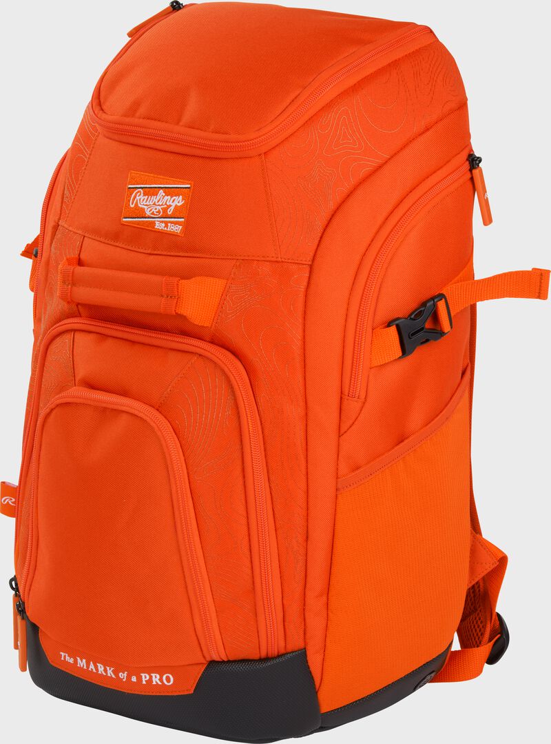 Franchise 2 Player's Baseball Backpack