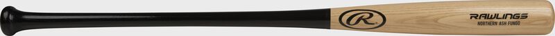Northern Ash Fungo Bat