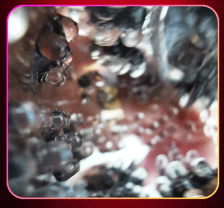 Trainer Penis Trainer Massage Masturbation Mini Airplane Cup - 