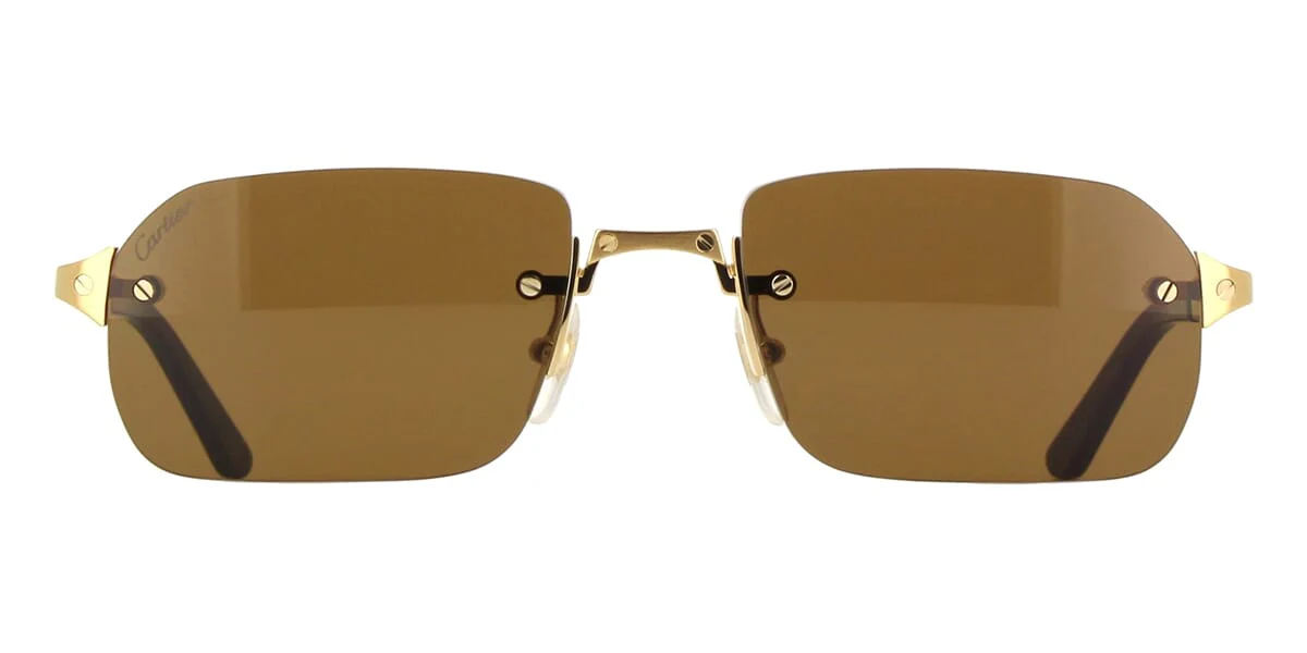 Replica Cartier CT0460S 002