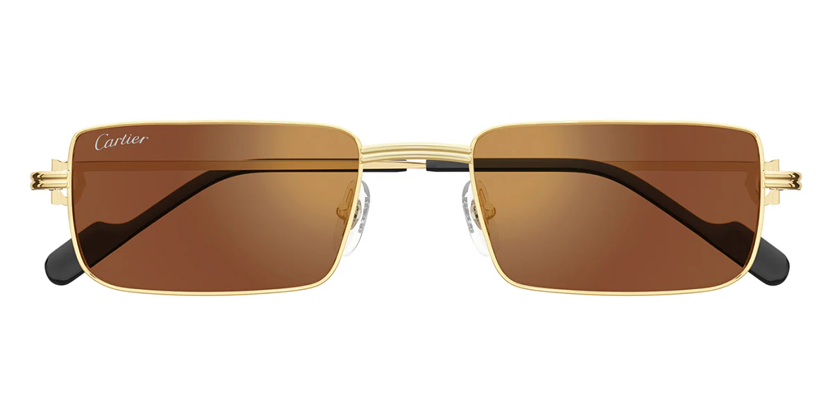 Replica Cartier CT0501S 006