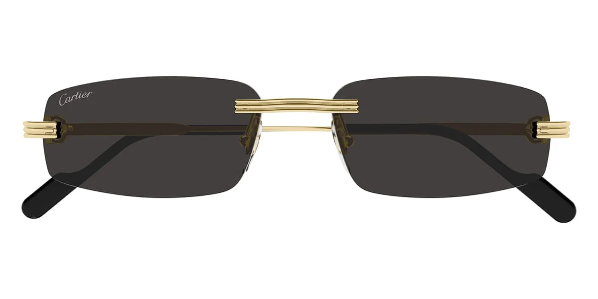 Replica Cartier CT0535S 001