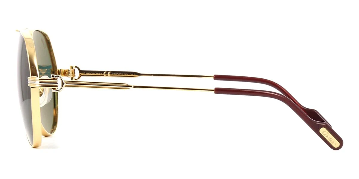 Replica Cartier CT0303S 004