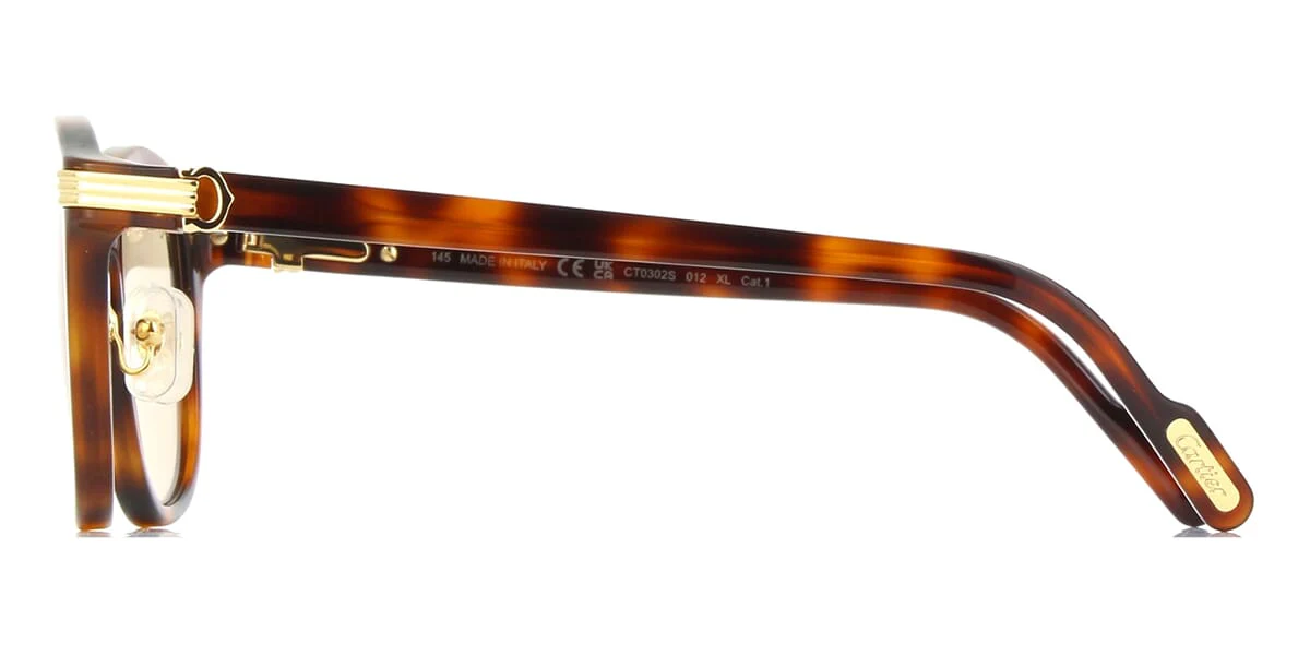 Replica Cartier CT0302S 012