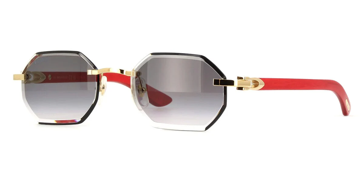 Replica Cartier CT0439S 003