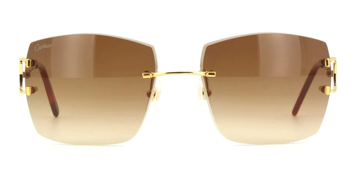 Replica Cartier CT0009RS 001