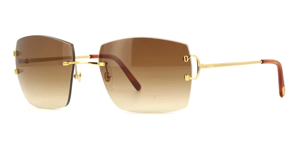 Replica Cartier CT0009RS 001