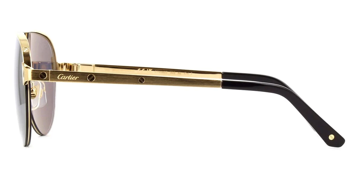 Replica Cartier CT0386S 003