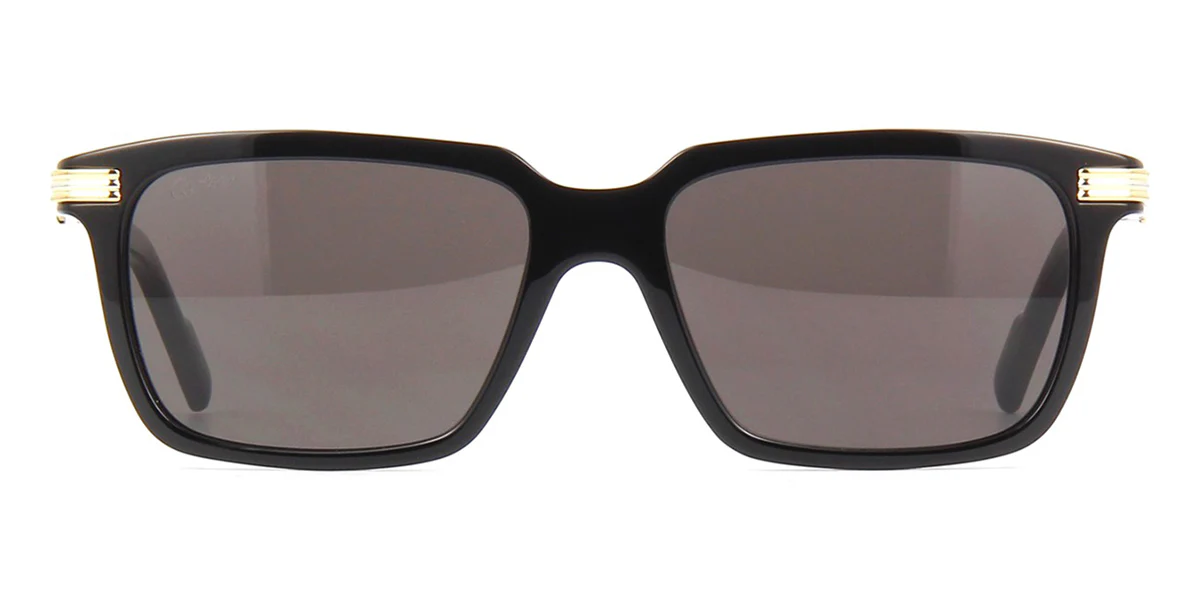Replica Cartier CT0220S 001
