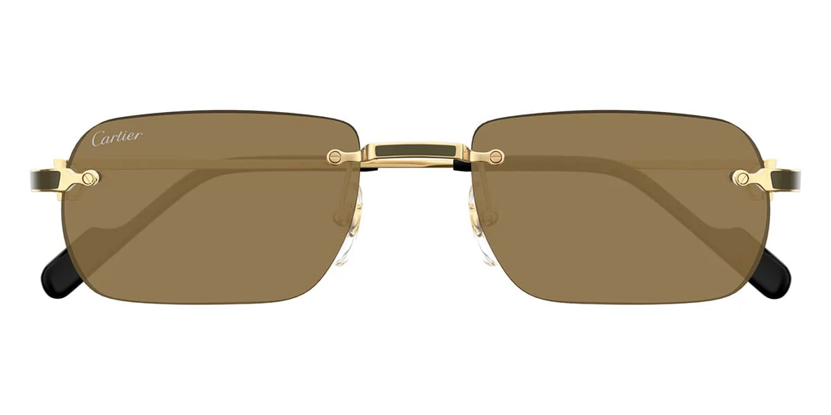 Replica Cartier CT0498S 005