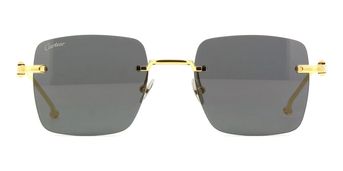 Replica Cartier CT0403S 002