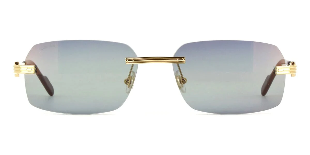 Replica Cartier CT0271S 006