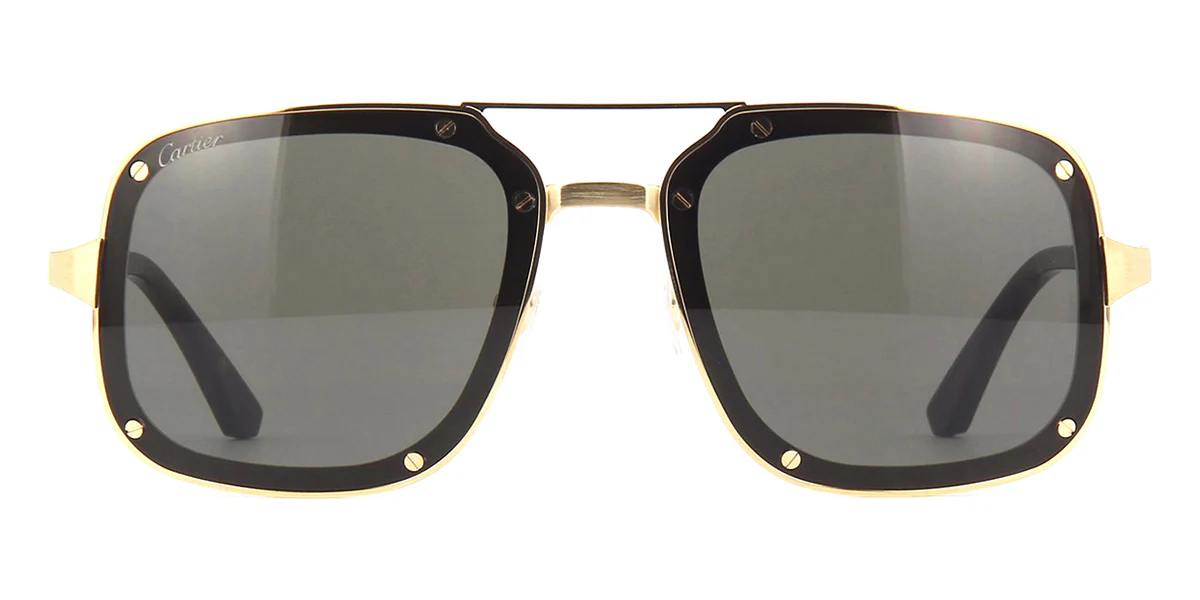Replica Cartier CT0194S 002