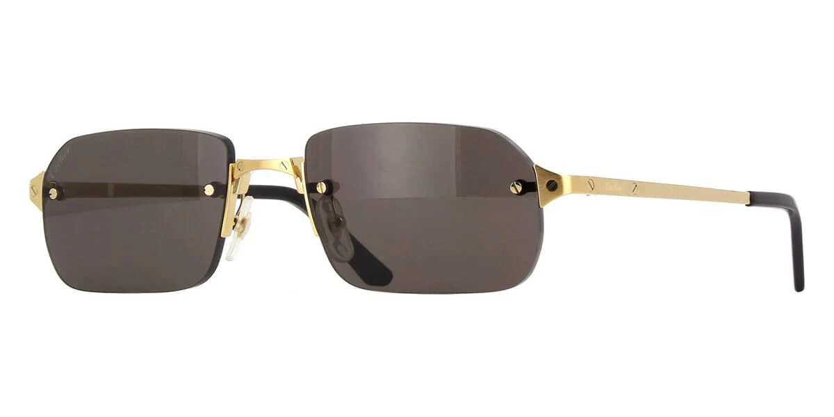 Replica Cartier CT0460S 001