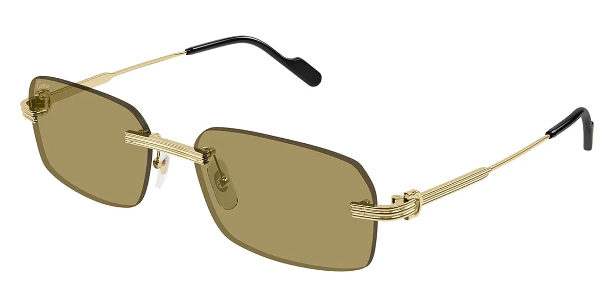 Replica Cartier CT0271S 009