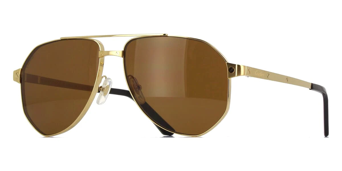 Replica Cartier CT0461S 004 Polarised