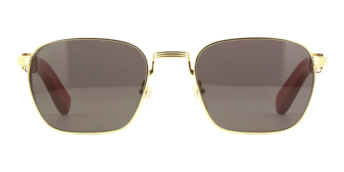 Replica Cartier CT0363S 004